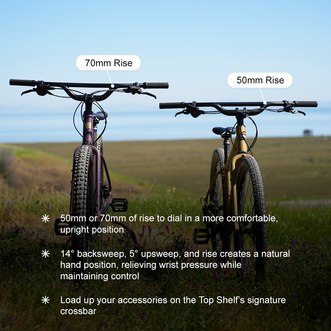 Top Shelf Flat Handlebar