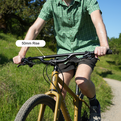 Top Shelf Flat Handlebar